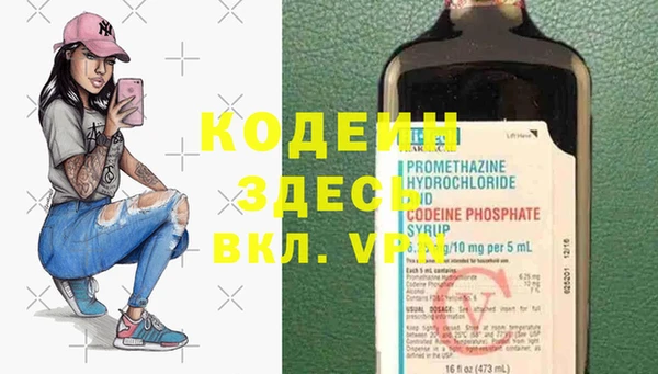 гидра Богданович