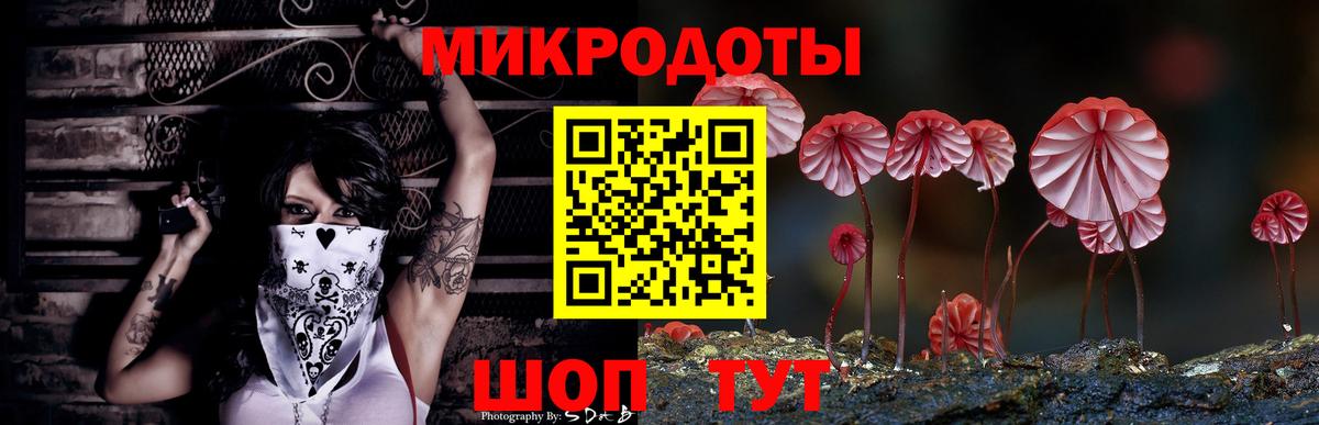 Дальнегорск  Галлюциногенные грибы GOLDEN TEACHER  Псилоцибиновые грибы ЛСД  Вход с VPN 